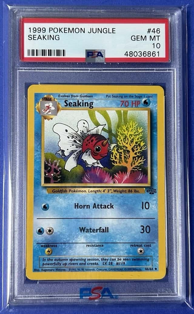 Seaking