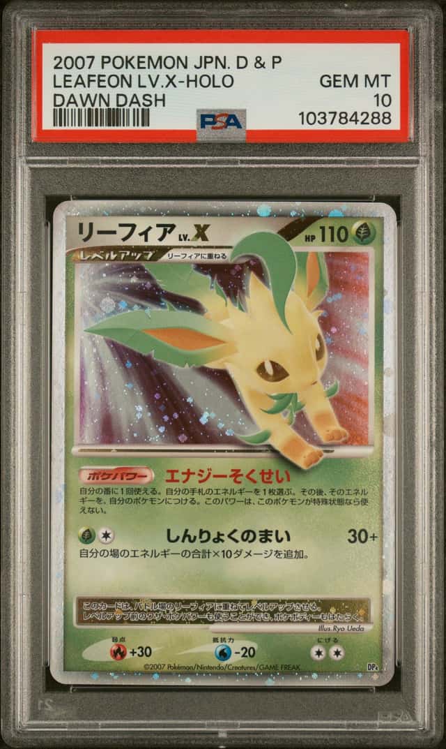 Leafeon Lv X