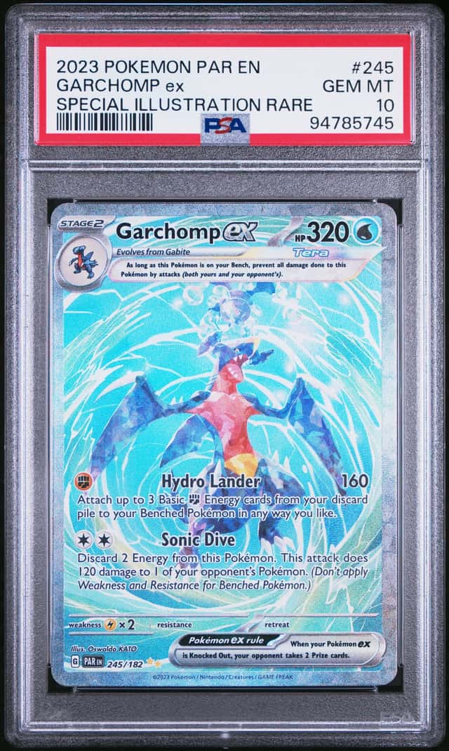 GARCHOMP ex