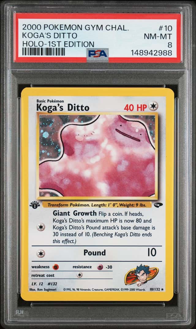 Koga's Ditto