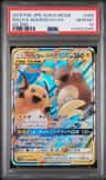 Raichu & Alolan Raichu Gx