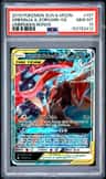 Greninja & Zoroark Gx