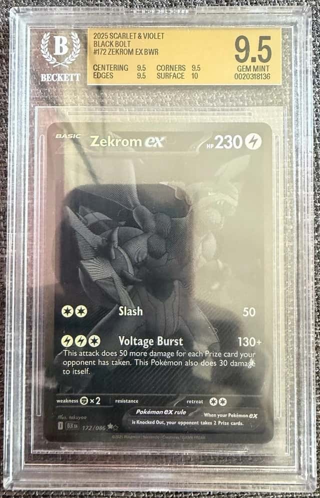 ZEKROM ex
