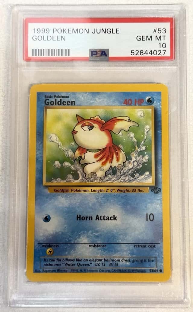 GOLDEEN
