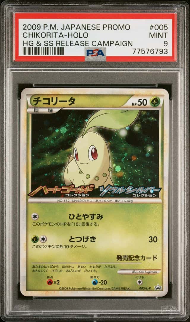 Chikorita