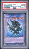 Dark Paladin