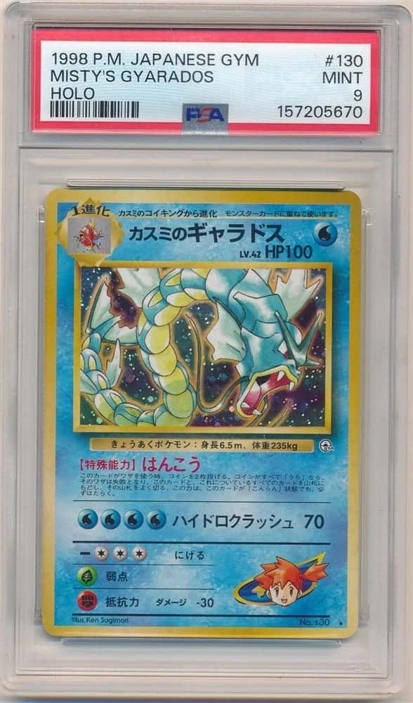 Misty's Gyarados