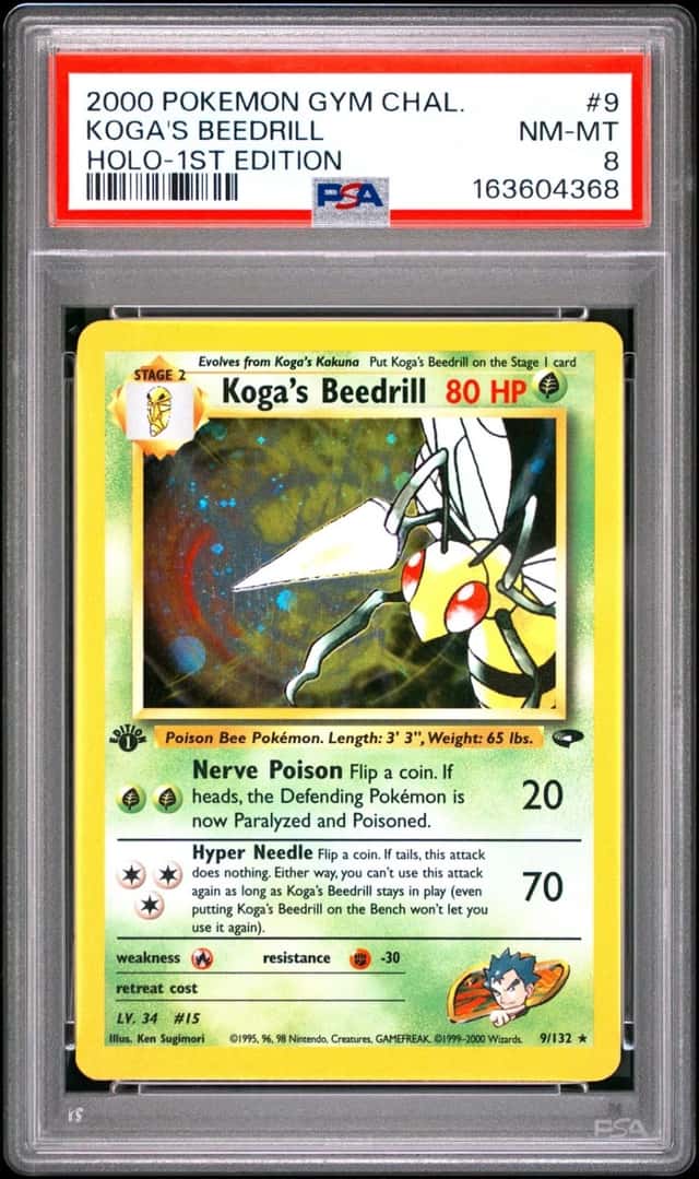 Koga's Beedrill