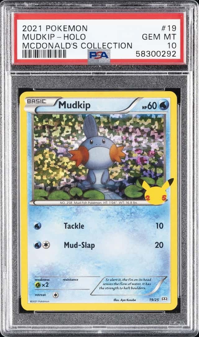 Mudkip