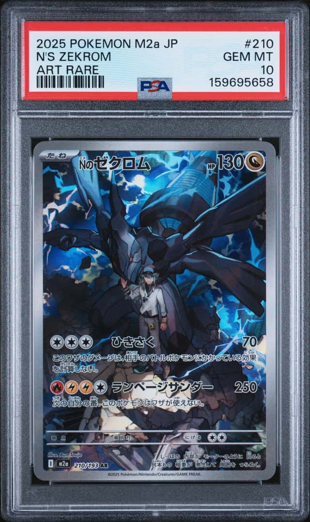 N's Zekrom