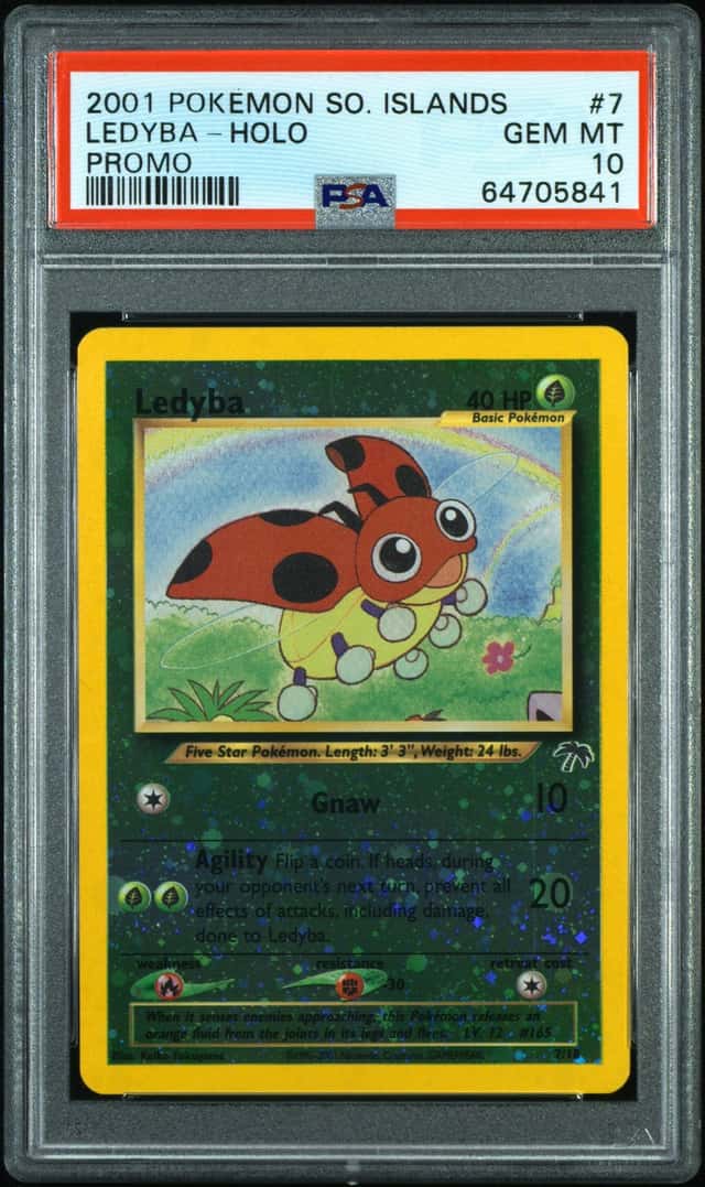 Ledyba