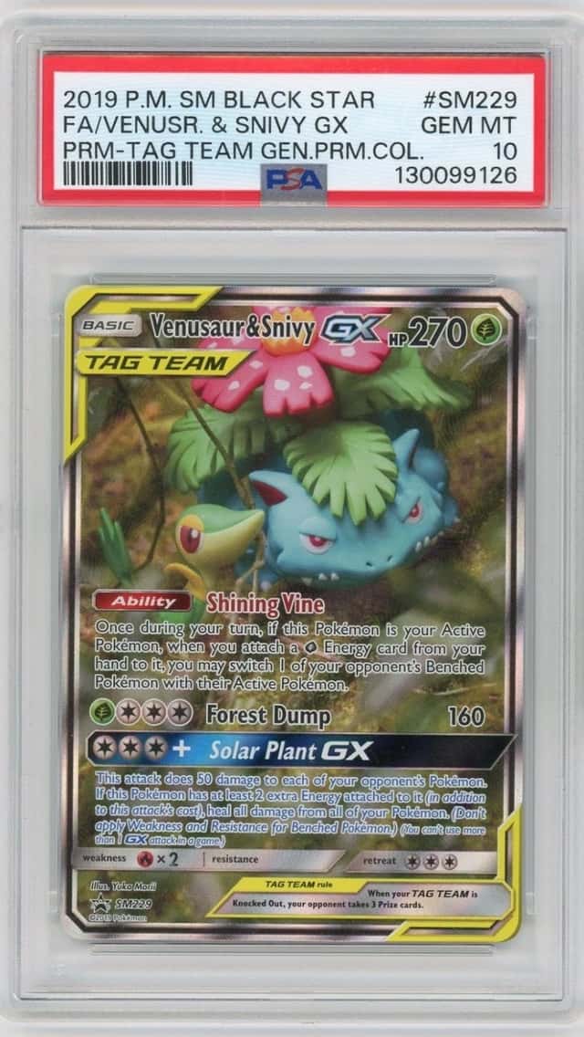 Venusaur & Snivy GX