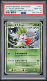 Icy Sky'S Shaymin