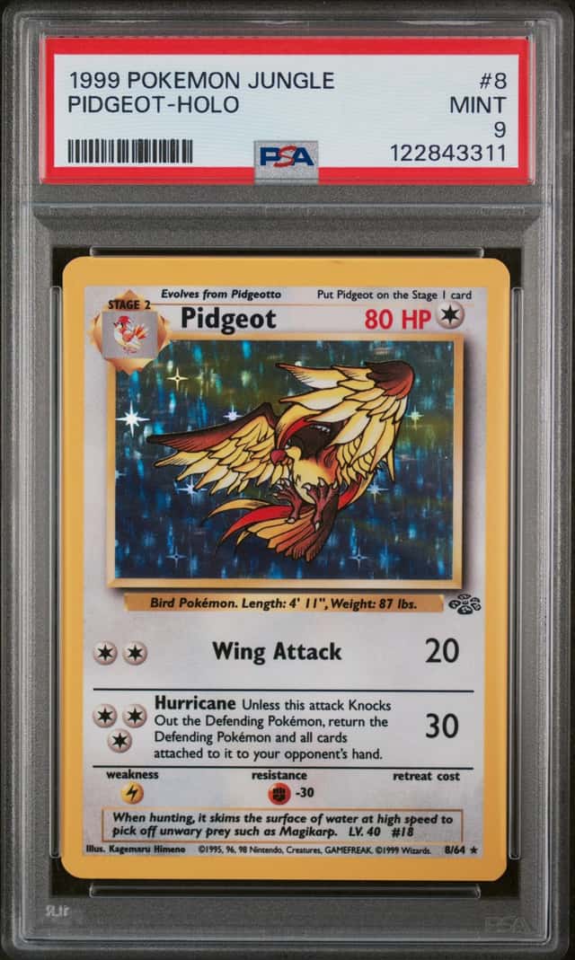 PIDGEOT