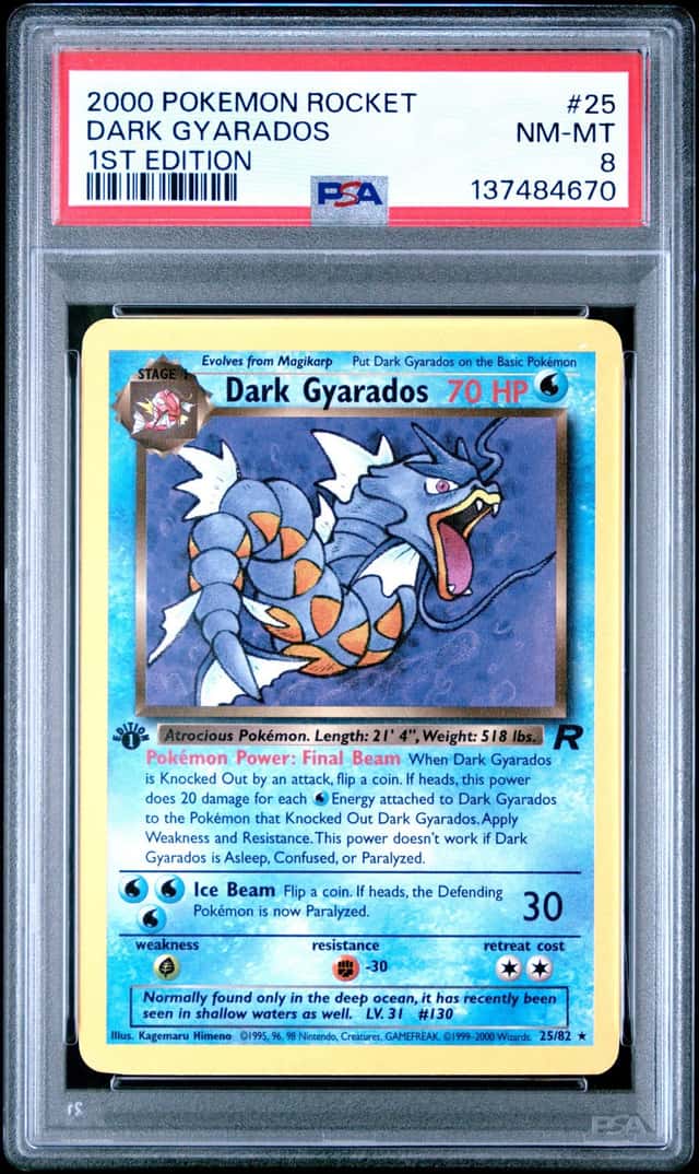 DARK GYARADOS