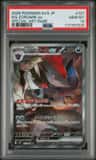 N'S Zoroark Ex