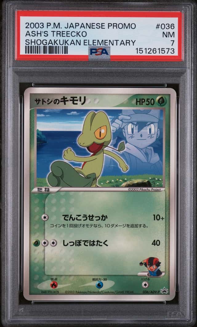 Ash's Treecko