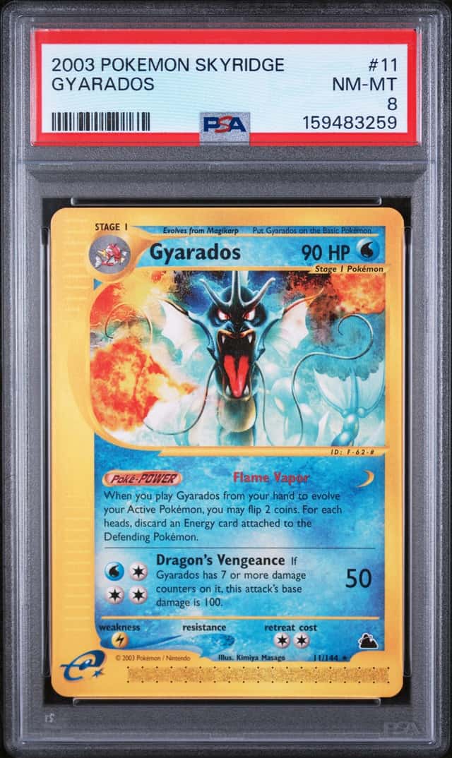Gyarados R