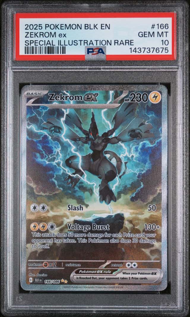 ZEKROM ex
