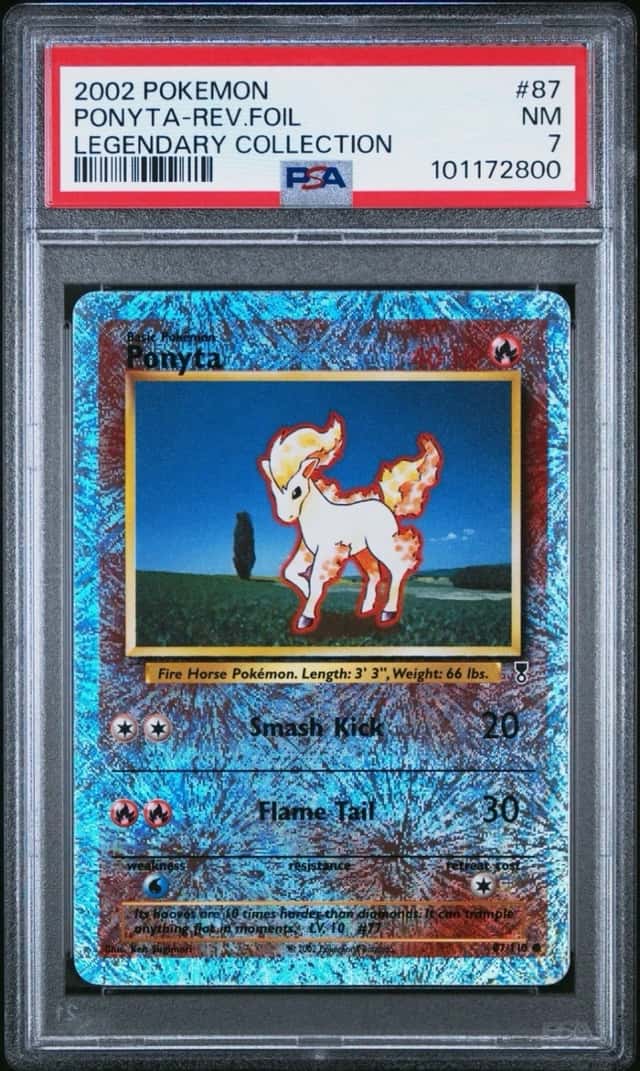 Ponyta C