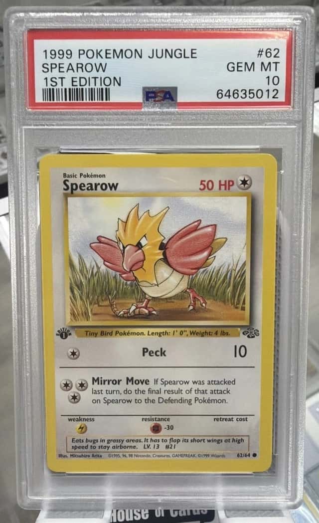 Spearow