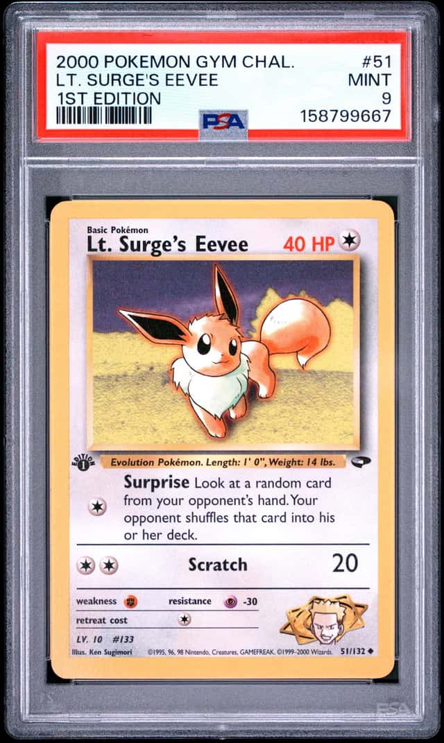 Lt. Surge's Eevee