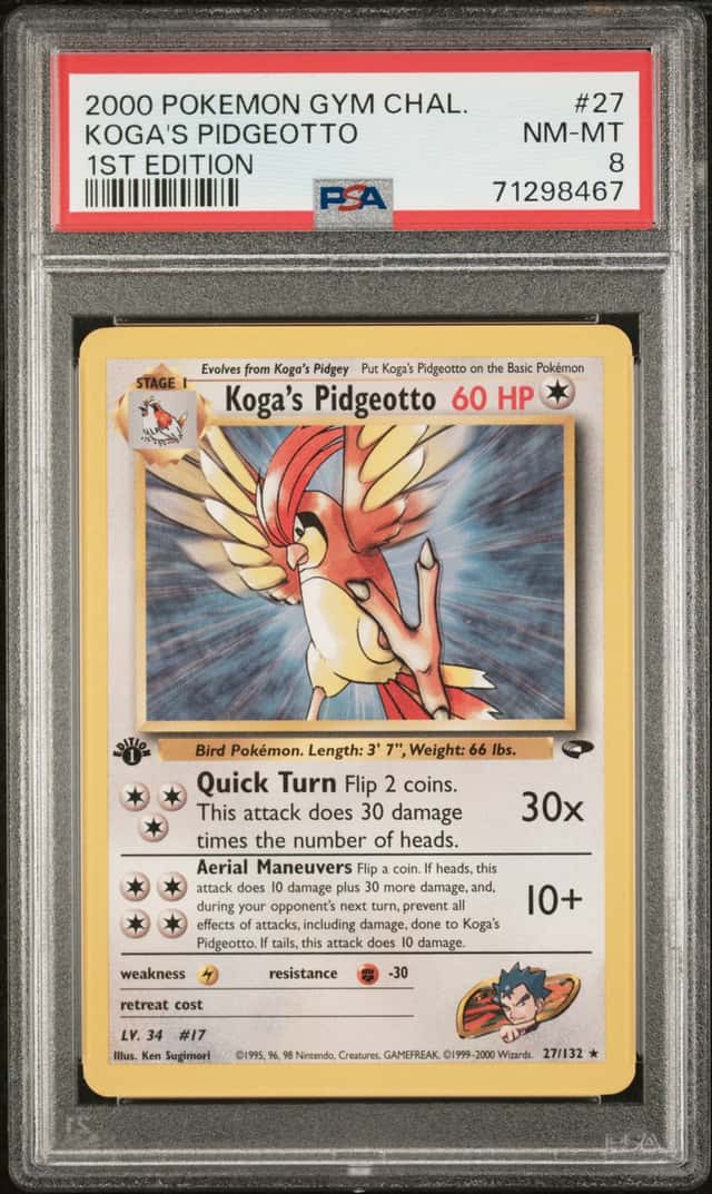 Koga's Pidgeotto