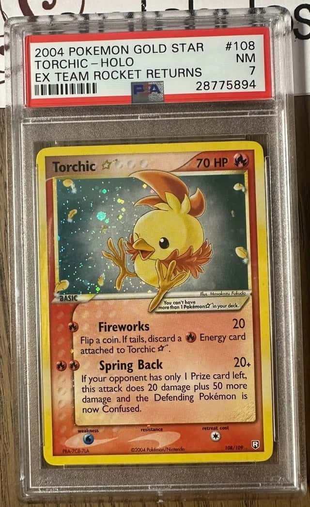 Torchic