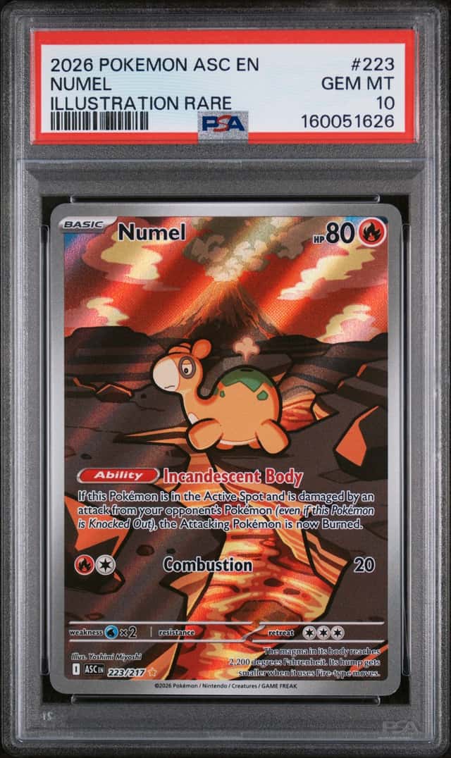 Numel