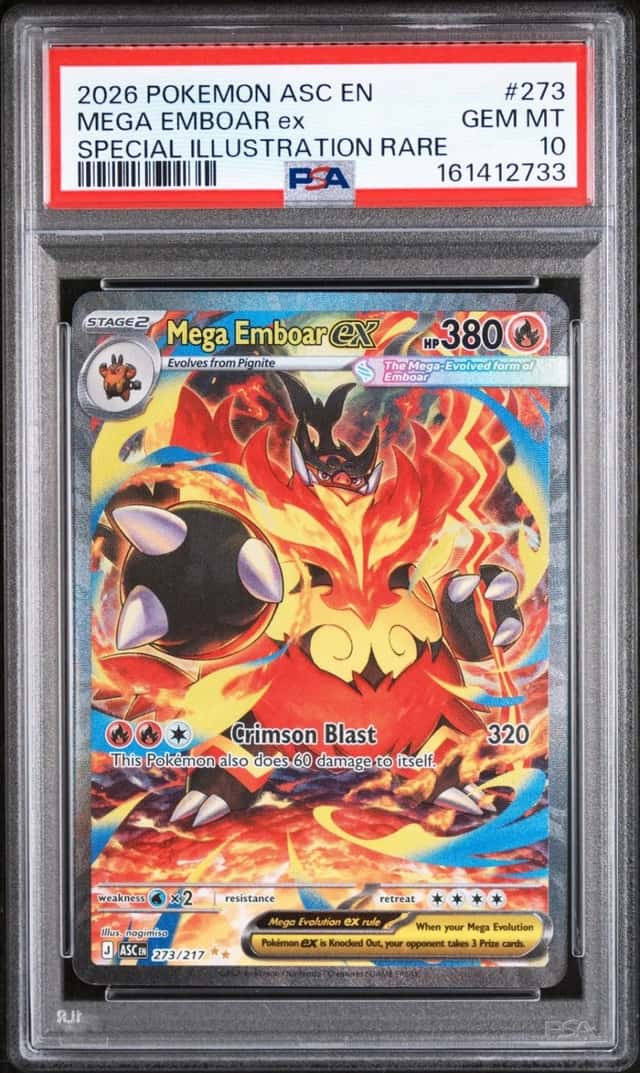 MEGA EMBOAR ex