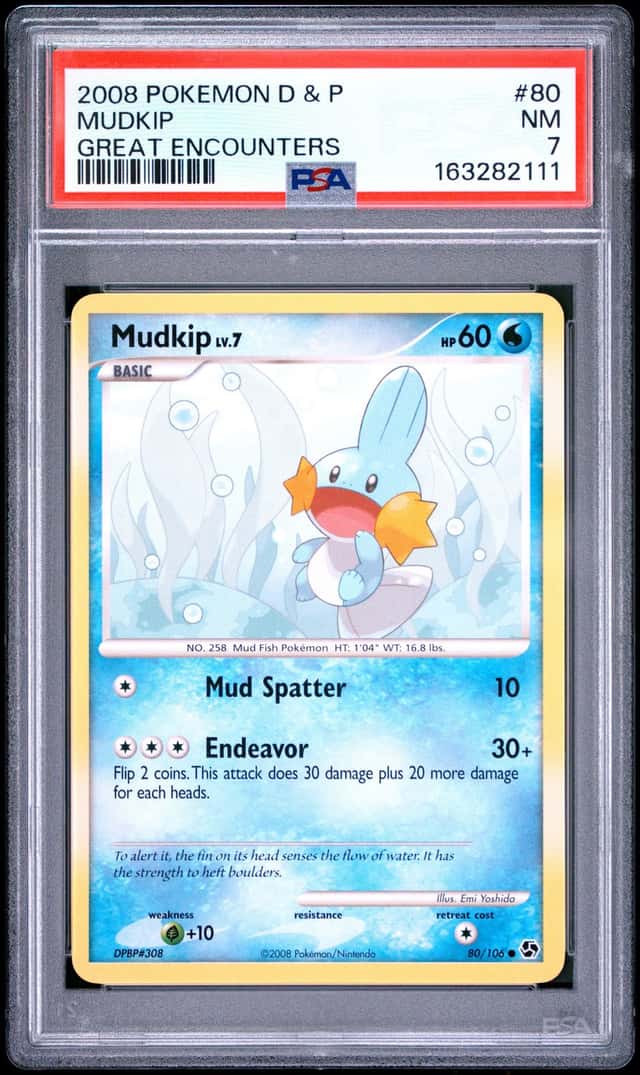 MUDKIP