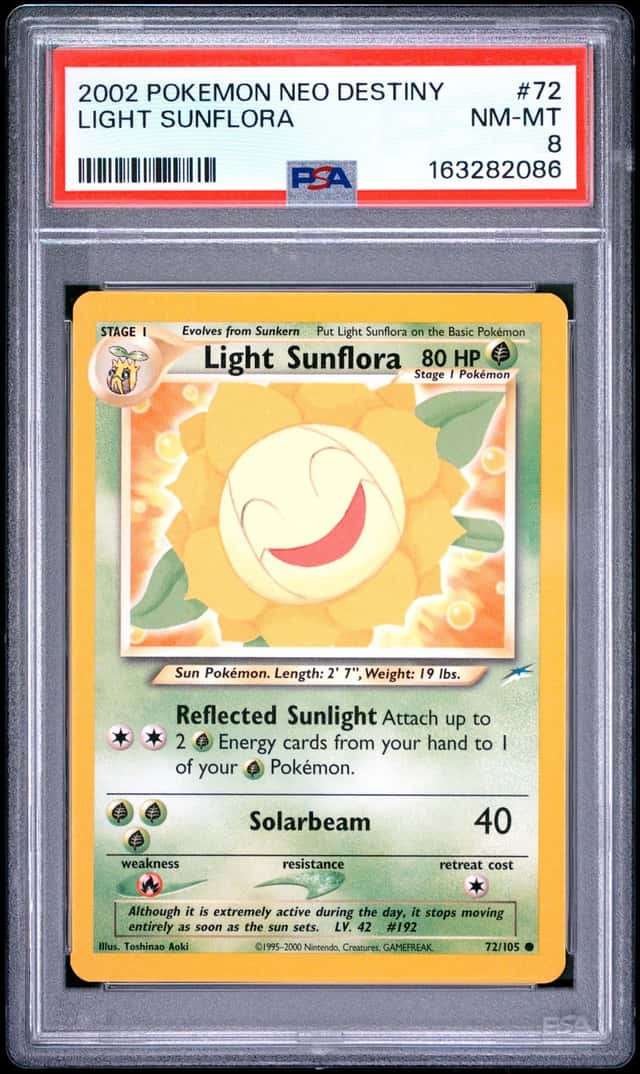 Light Sunflora