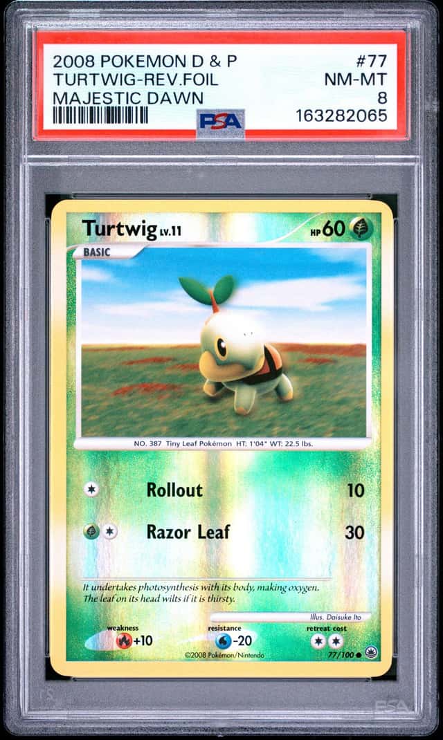 Turtwig