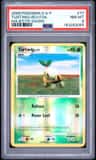 Turtwig