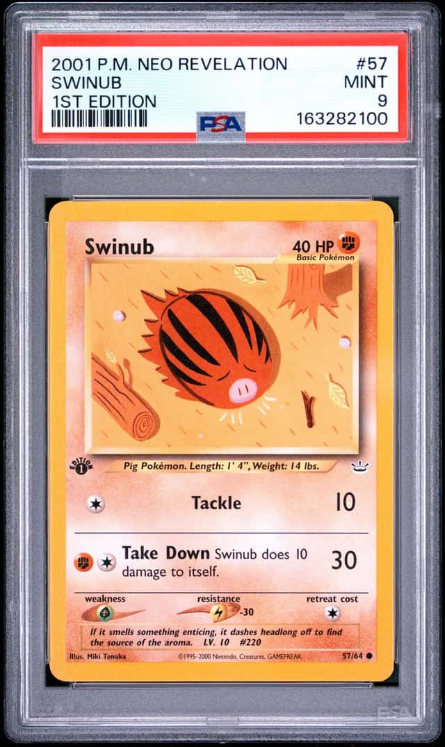 Swinub