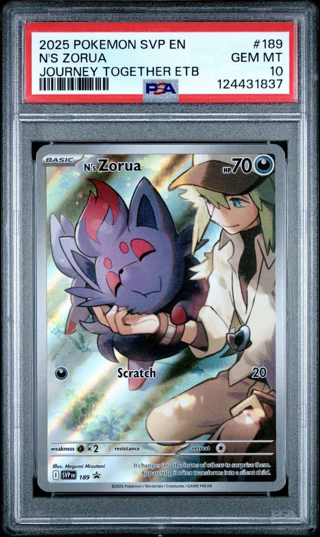 N'S ZORUA