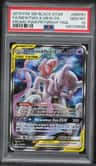 Mewtwo & Mew Gx