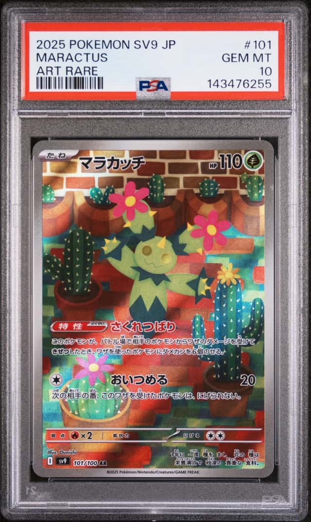 Maractus