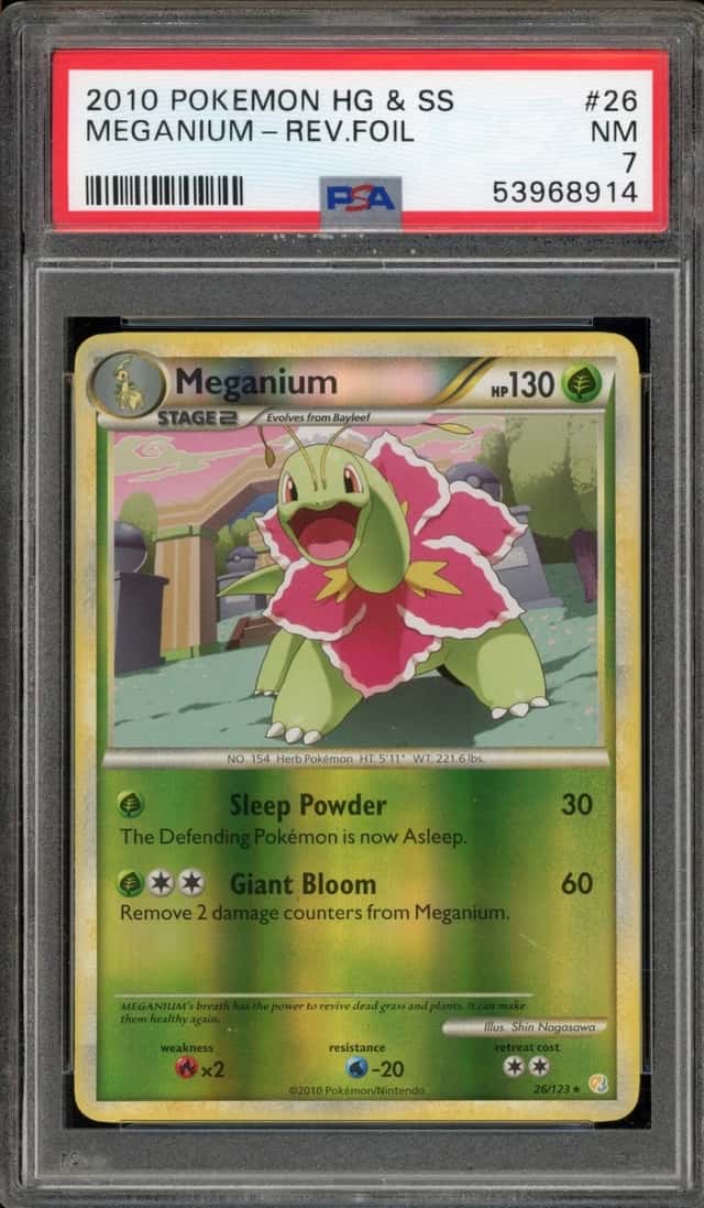 Meganium