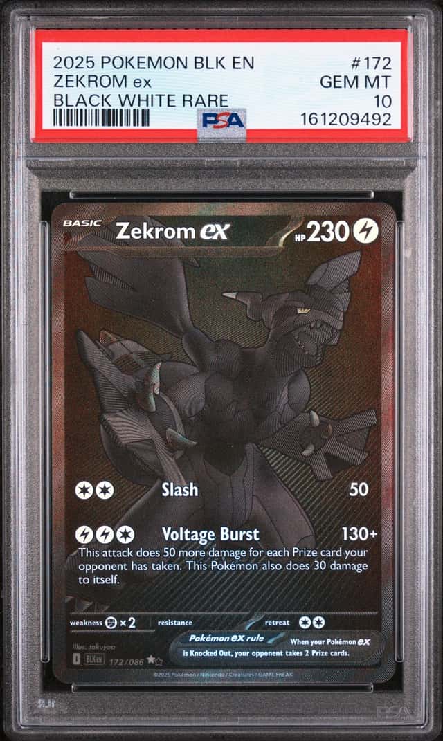 ZEKROM ex