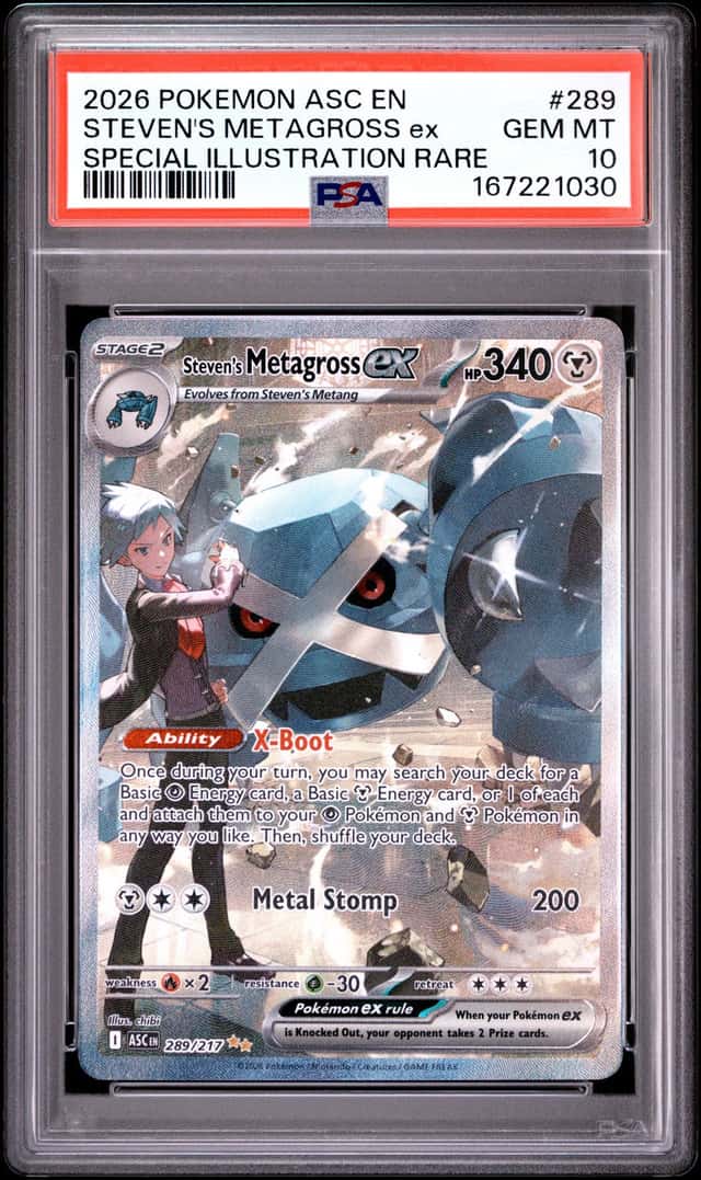 STEVEN'S METAGROSS ex