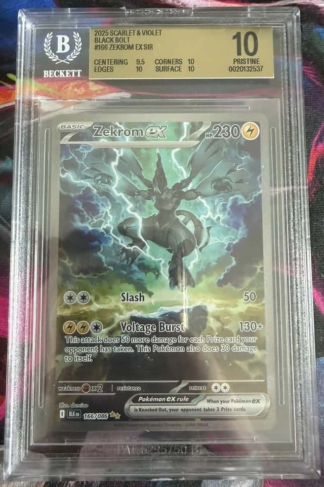 ZEKROM ex
