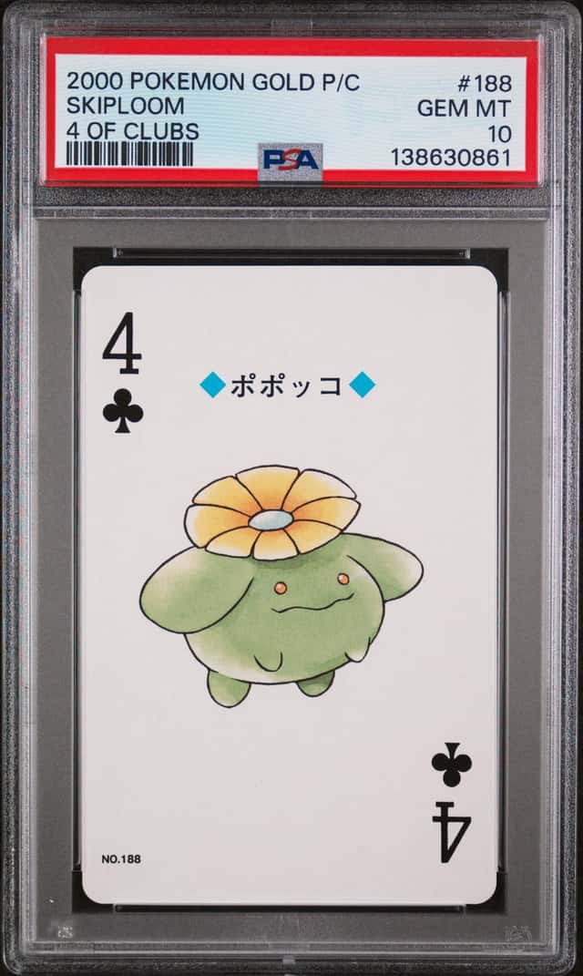 Skiploom