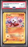 Tyrogue