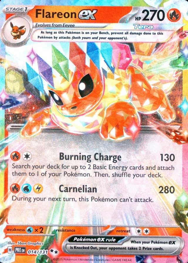 Holo