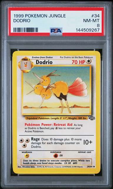 Dodrio