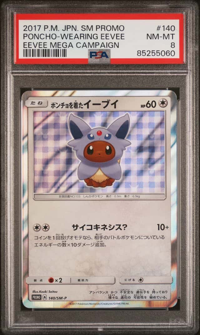 Poncho-Wearing Eevee