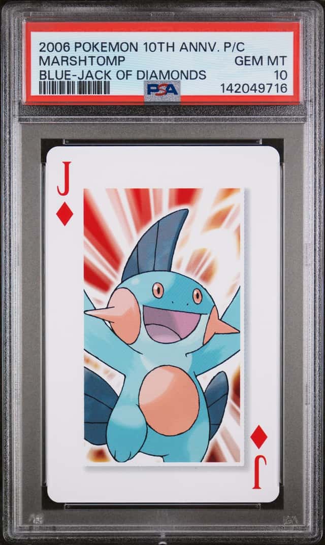 Marshtomp