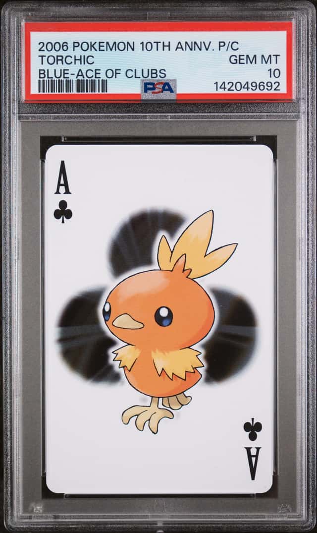 Torchic