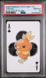 Torchic